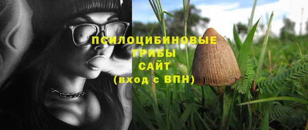 стаф Алексин
