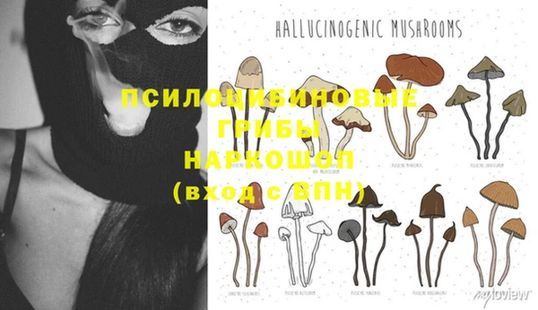 Альфа ПВП Абдулино
