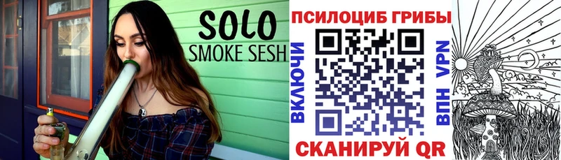 Псилоцибиновые грибы Cubensis  Дивногорск 